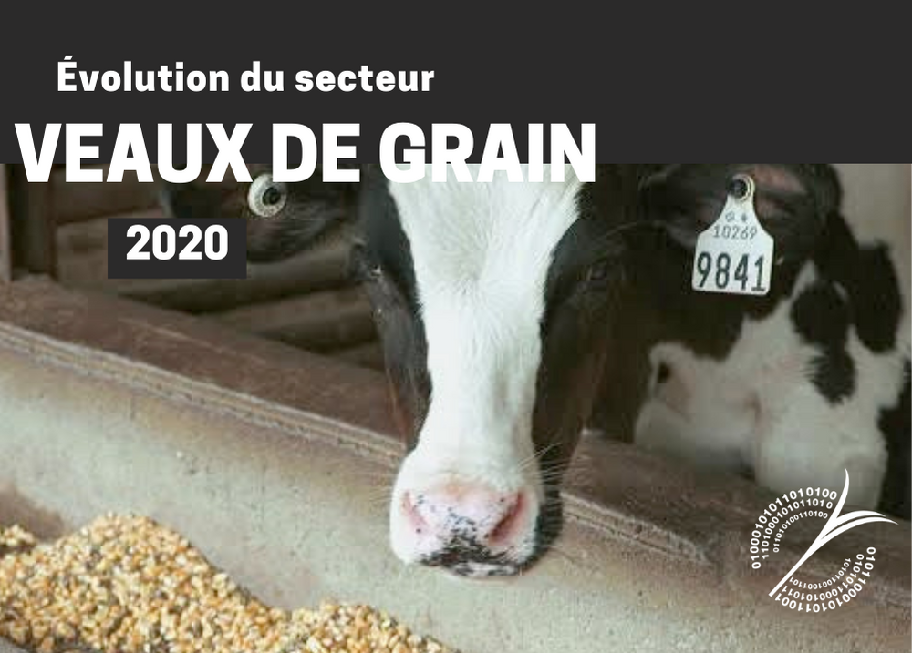 Pour les partenaires : ÉVOLUTION DU SECTEUR - VEAUX DE GRAIN 2020